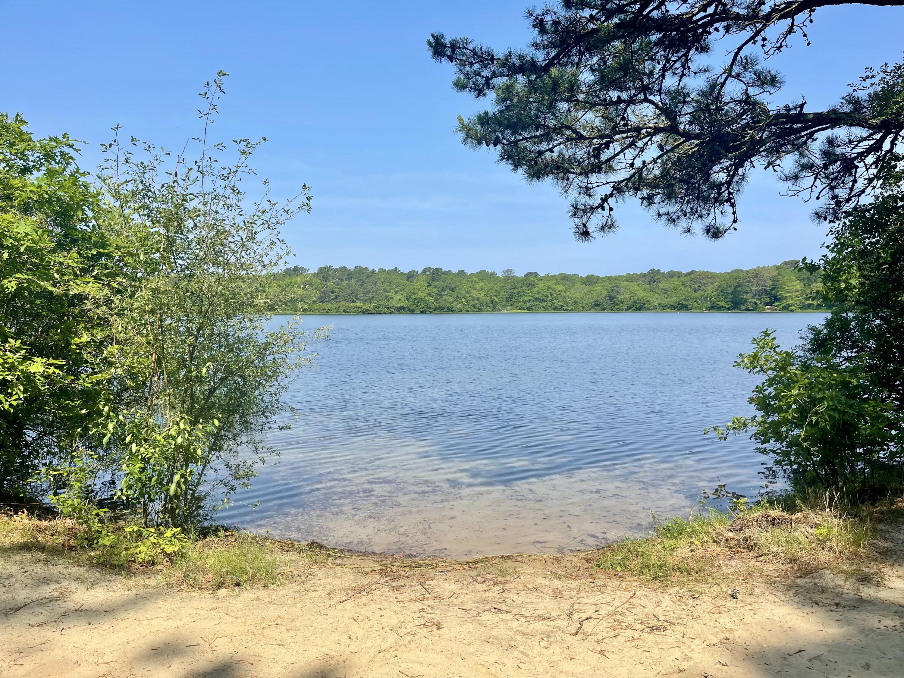 94 Pine View Drive Brewster, MA 02631 - Photo 48 of 51