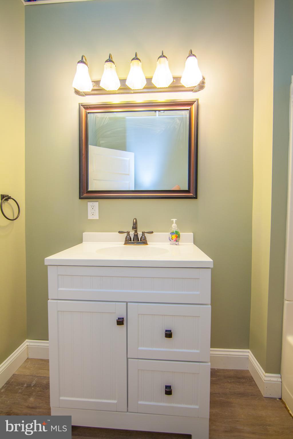 17407 Lappans Road Fairplay, MD 21733 - Photo 17 of 30 Bath