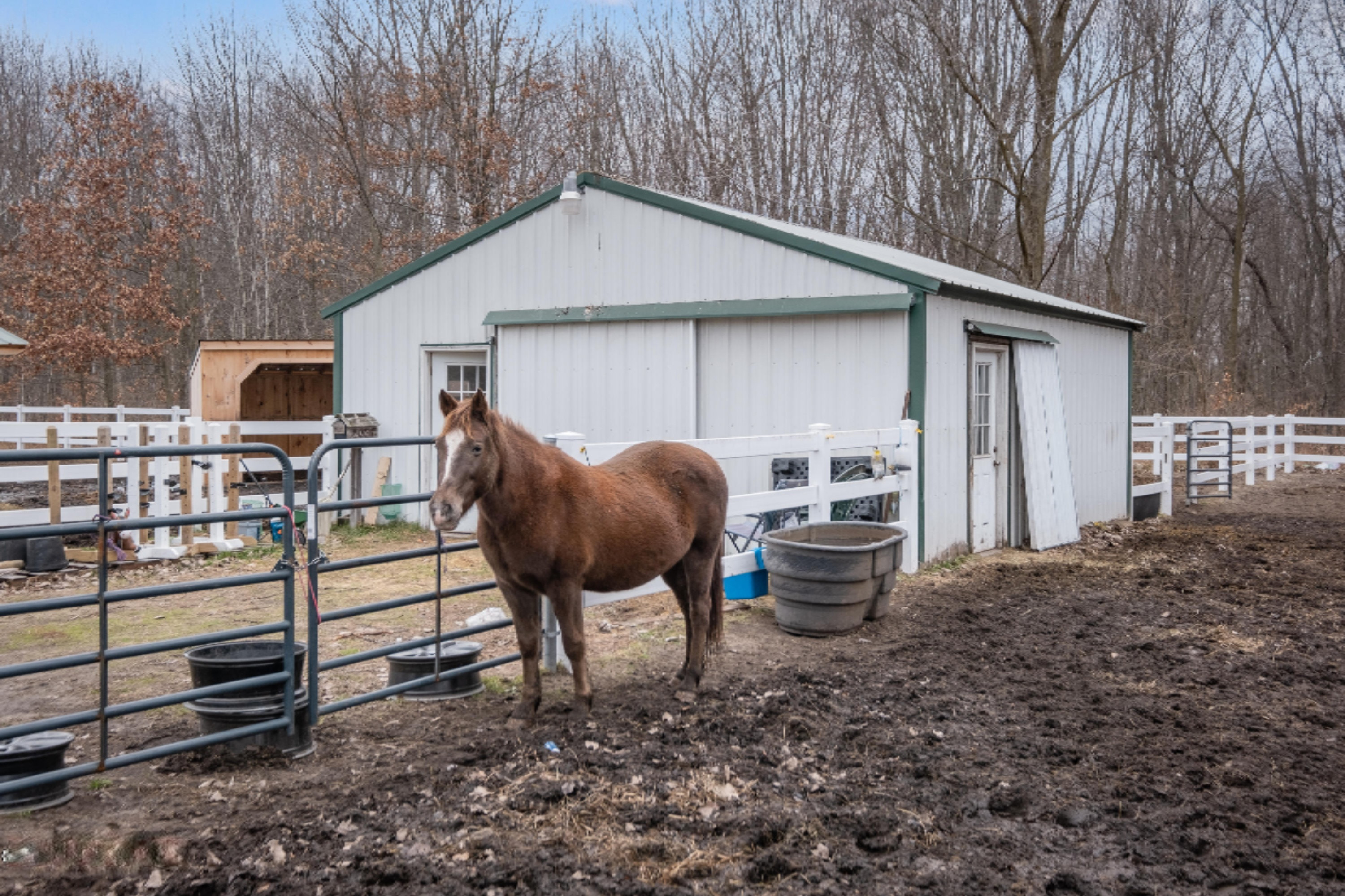 2045 Ensley Road Ravenna, MI 49451 - Photo 27 of 60 Photo-13