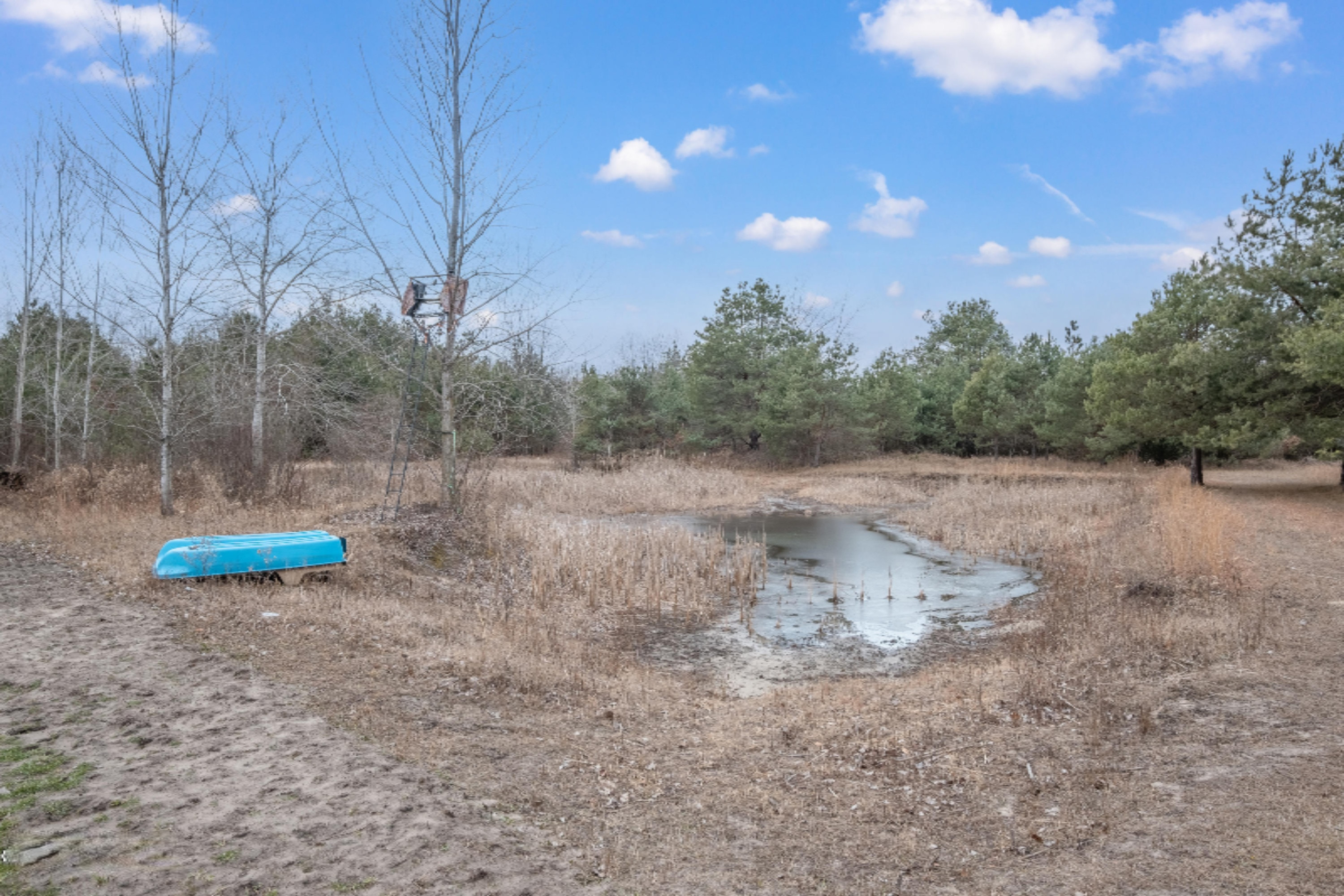 2045 Ensley Road Ravenna, MI 49451 - Photo 56 of 60 Photo-30