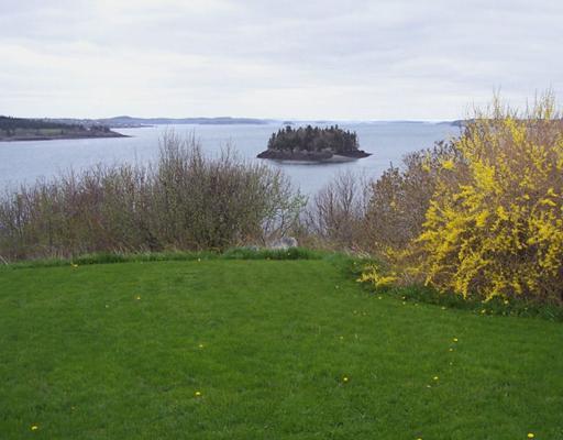 11 High Street Lubec, ME 04652 - Photo 10 of 10 Yard/Garden.
