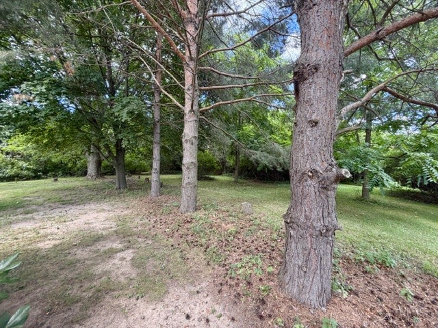 337 Dundee-Glenora Road Starkey, NY 14837 - Photo 44 of 47 Gallery Image 44