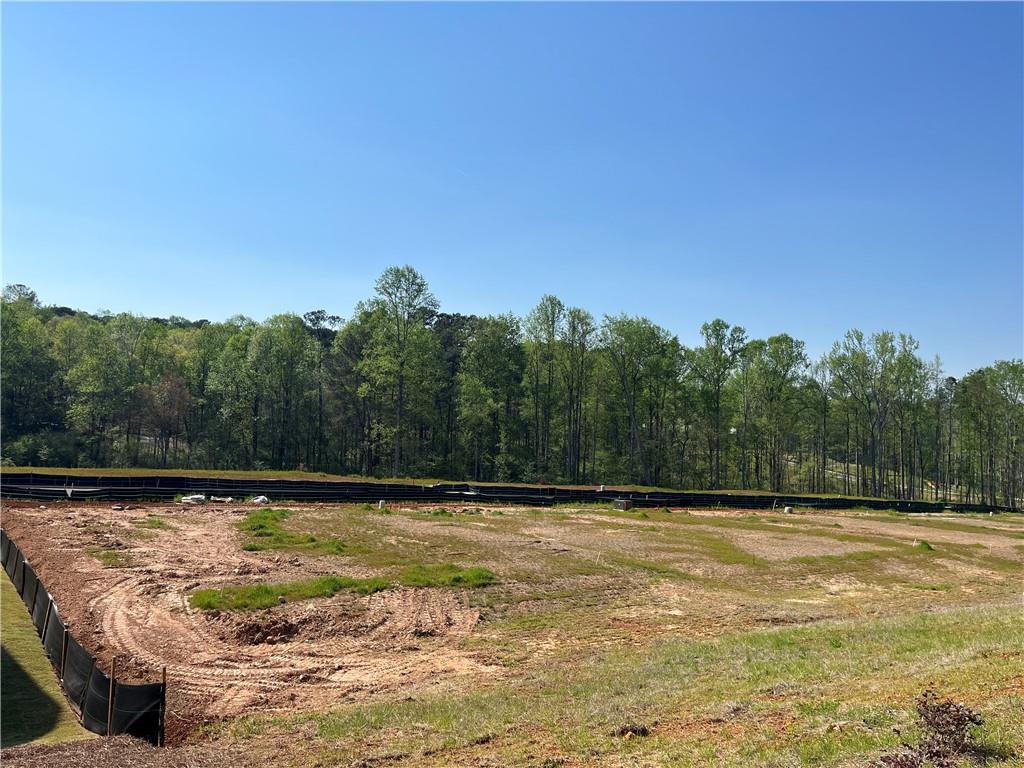 112 Bridgeview (lot 4) Way Canton, GA 30114 - Photo 45 of 58
