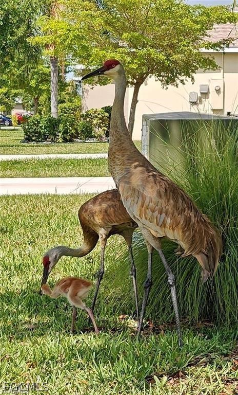 8231 Gopher Tortoise Trail Lehigh Acres, FL 33972 - Photo 30 of 31