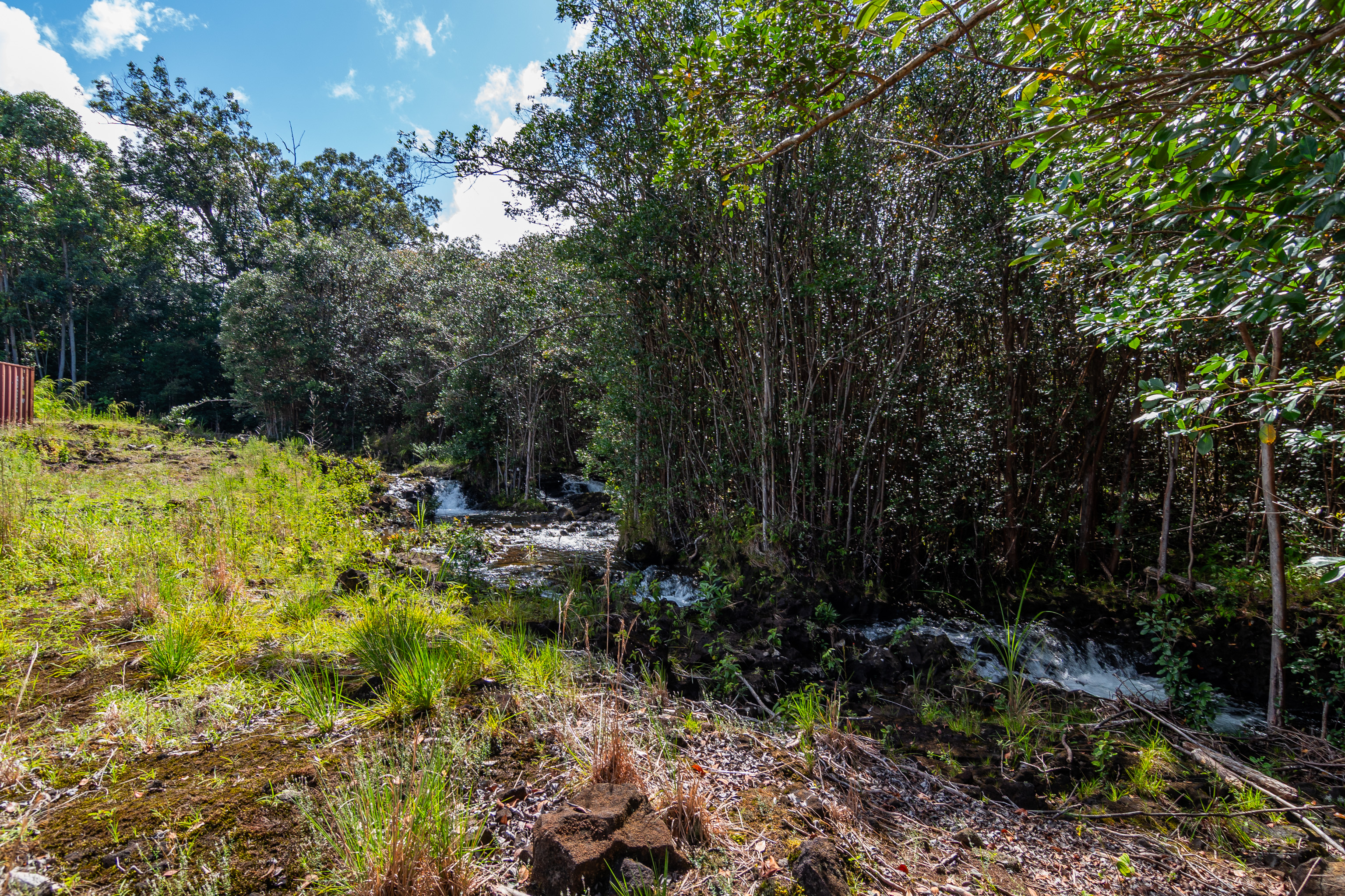 Lot J Akolea Road Hilo, HI 96720 - Photo 13 of 14