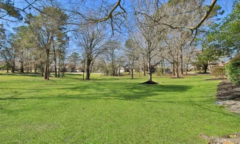 a park with lots of trees and plants