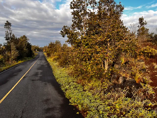 a view of a pathway with a wrought fence