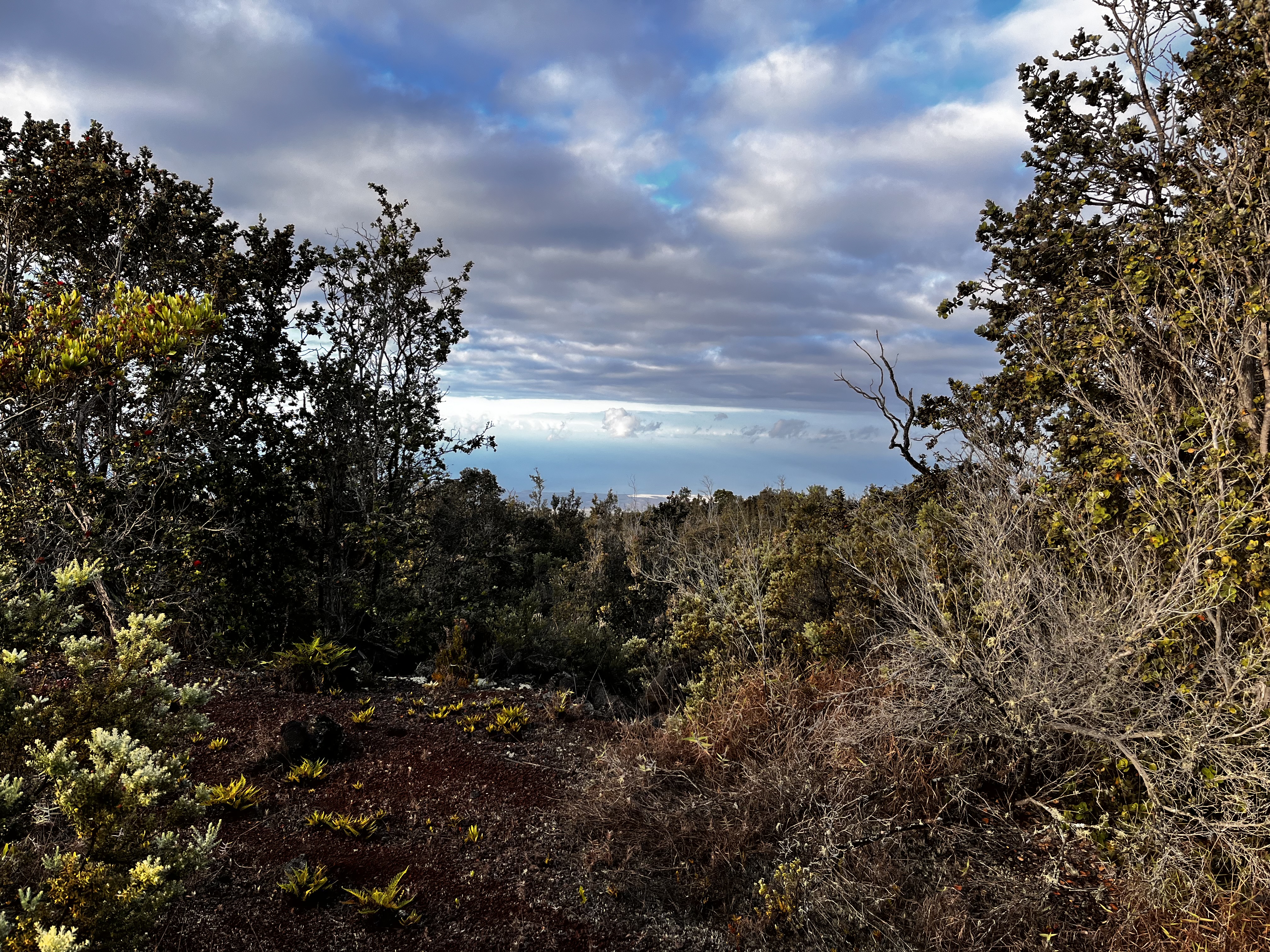 92-2417 Lot 20 21 Outrigger Drive Ocean View, HI 96704 - Photo 7 of 17