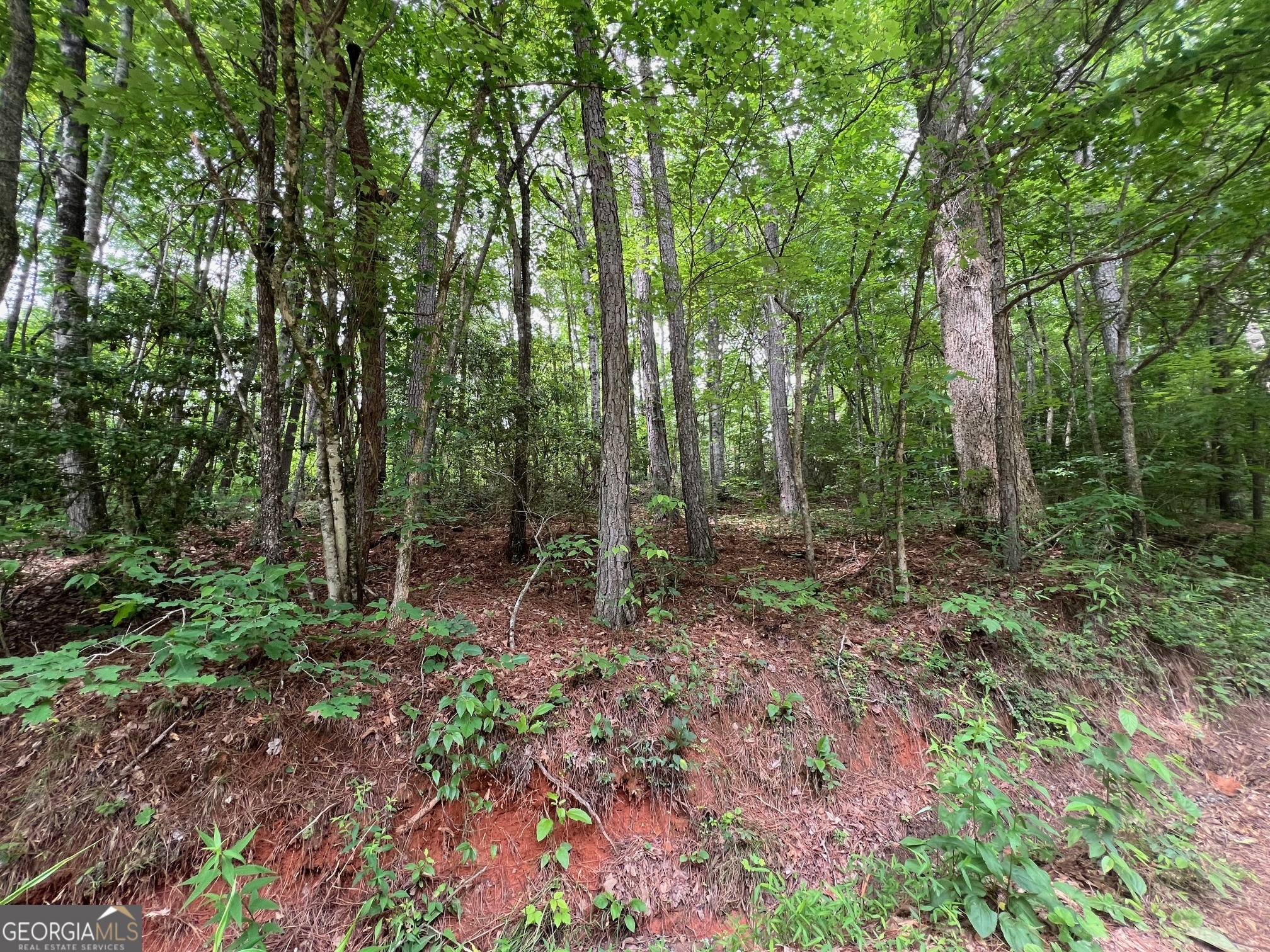 0 Mr Bert Road Hiawassee, GA 30546 - Photo 19 of 22