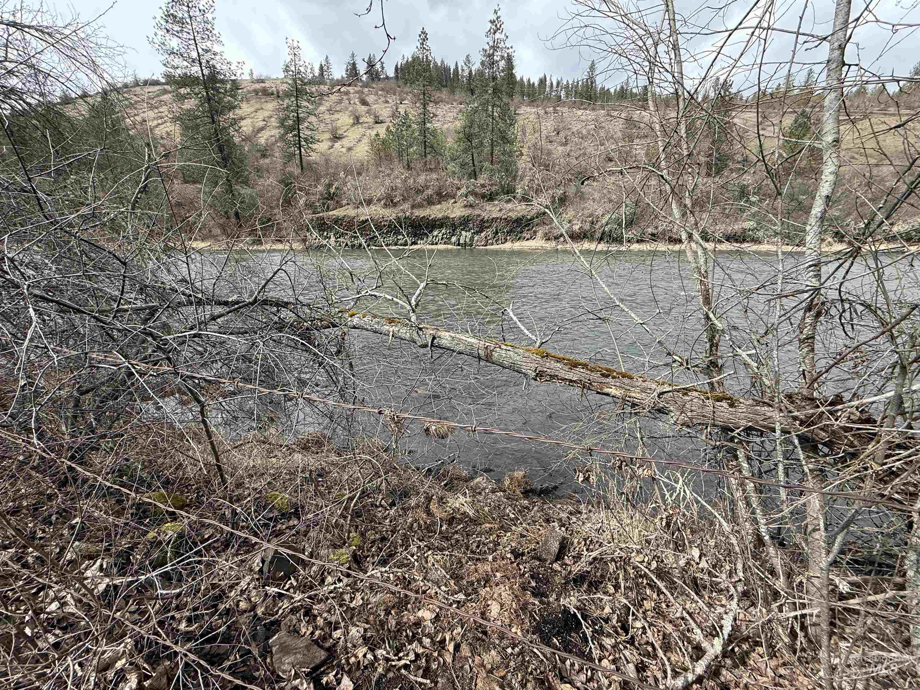 3731 Highway 13 Stites, ID 83552 - Photo 3 of 31
