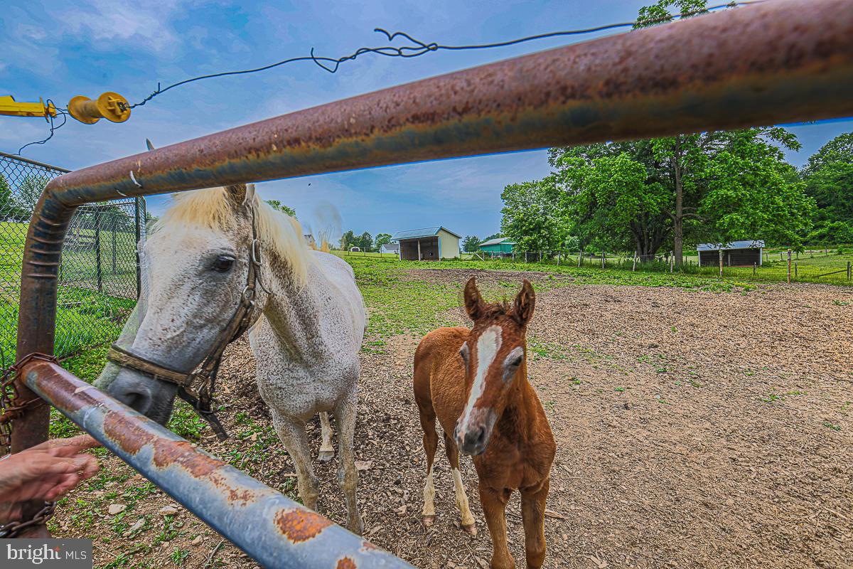 3899 Bixler Church Road Westminster, MD 21158 - Photo 37 of 42 a view of outdoor space and seating area
