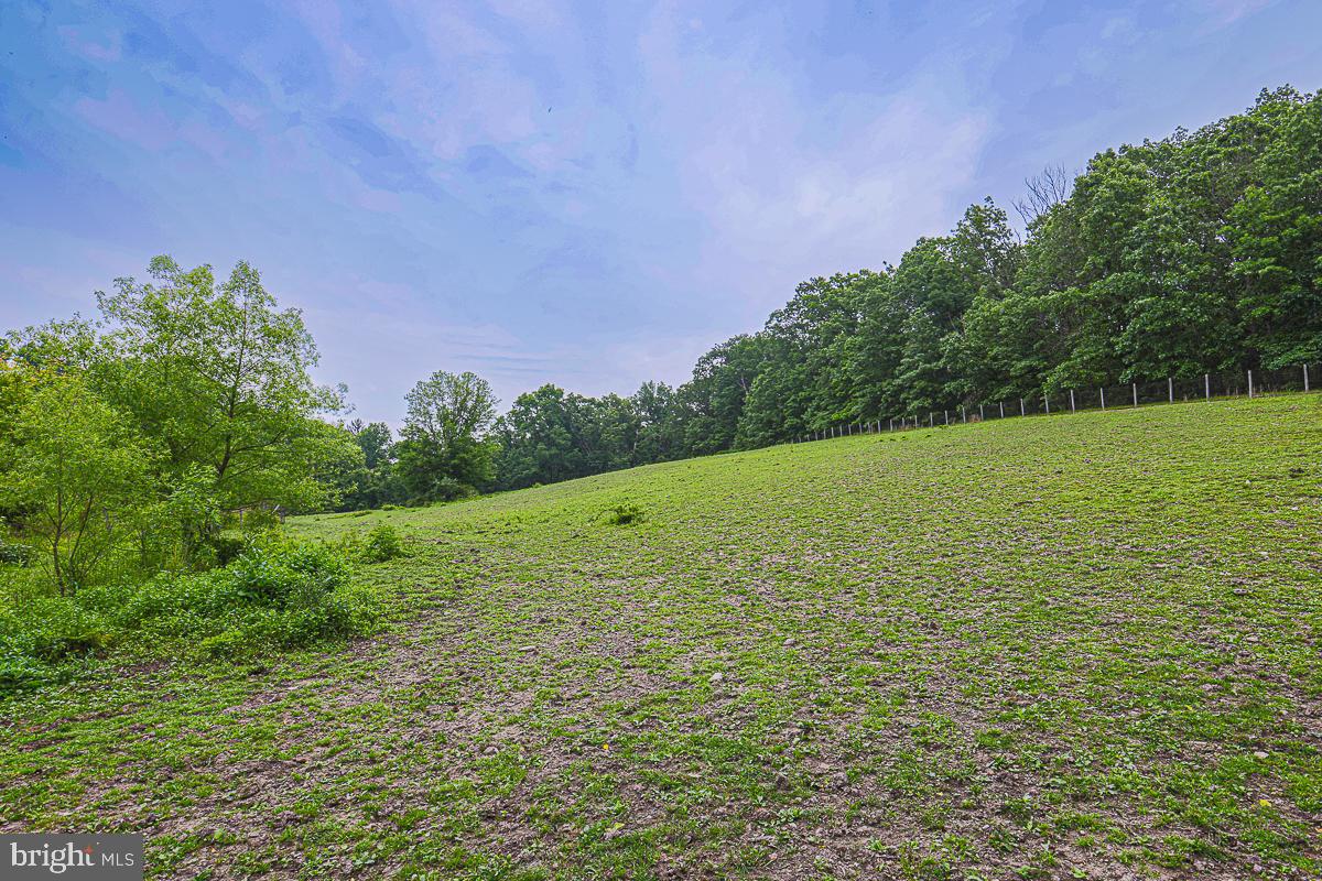 3899 Bixler Church Road Westminster, MD 21158 - Photo 38 of 42 a view of a field with an trees