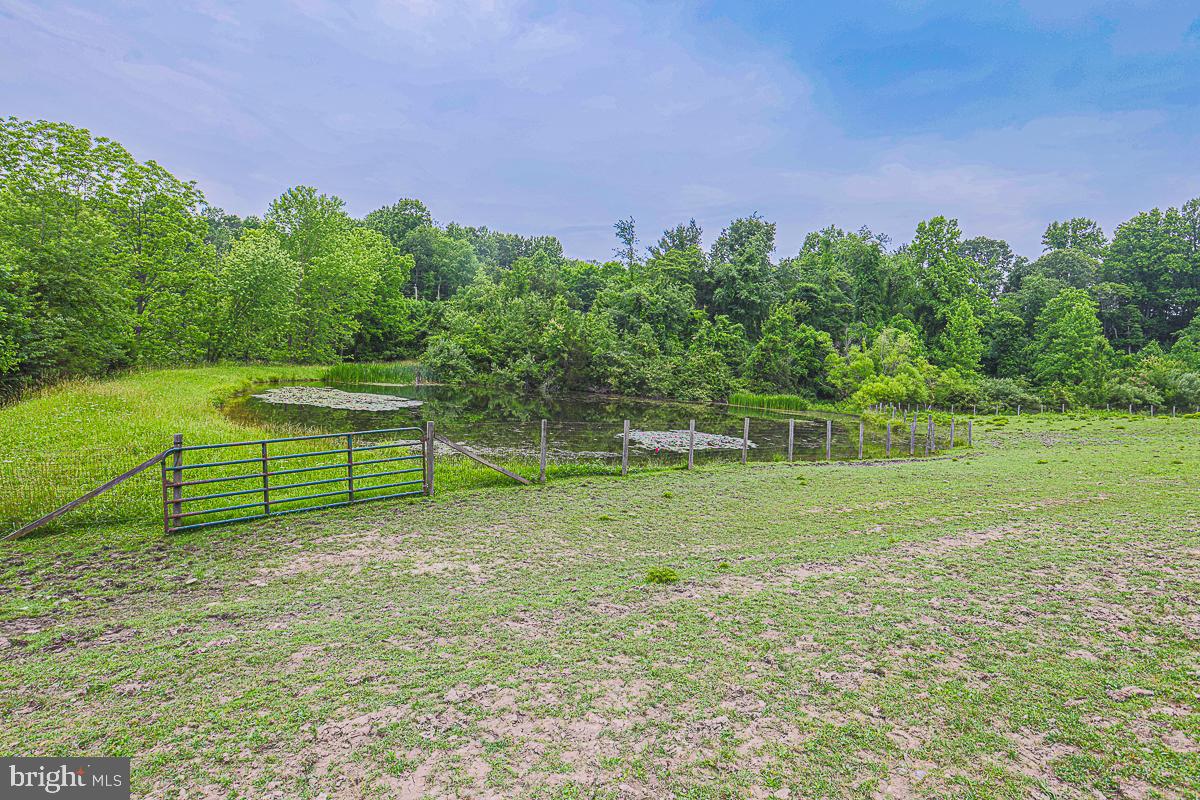3899 Bixler Church Road Westminster, MD 21158 - Photo 39 of 42 a green field with lots of trees in the background