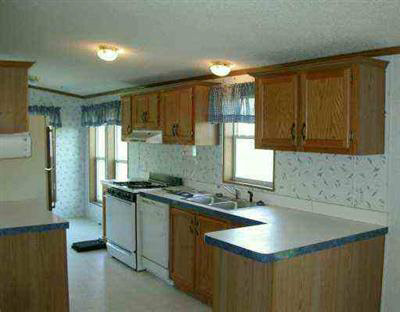 249 East Church Road Morrice, MI 48857 - Photo 2 of 5 20207368-1.JPG