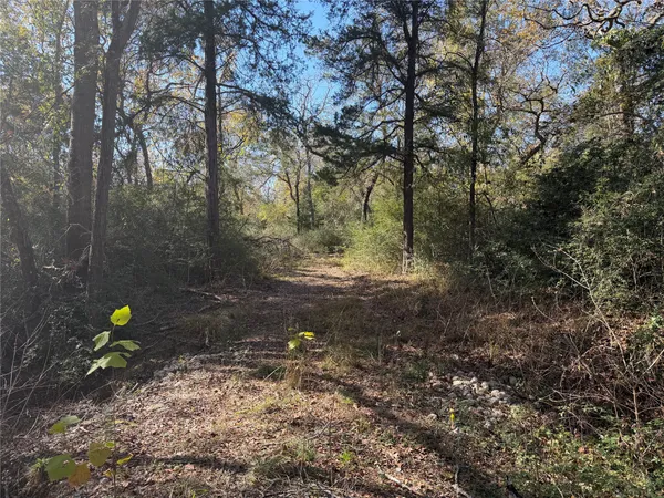$165,000 | Lot 34 Cr 389 Jewett Tx 75846, Marquez, TX 77865