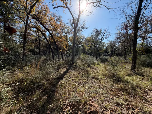 $165,000 | Lot 34 Cr 389 Jewett Tx 75846, Marquez, TX 77865