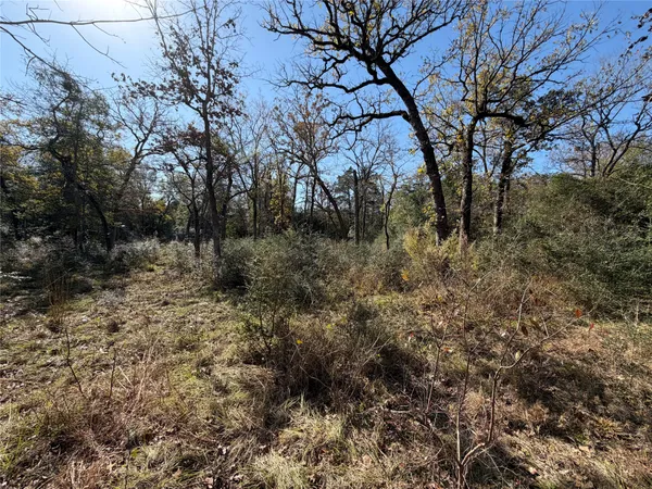 $165,000 | Lot 34 Cr 389 Jewett Tx 75846, Marquez, TX 77865