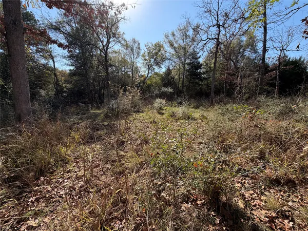 $165,000 | Lot 34 Cr 389 Jewett Tx 75846, Marquez, TX 77865
