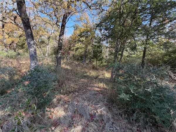 $165,000 | Lot 34 Cr 389 Jewett Tx 75846, Marquez, TX 77865
