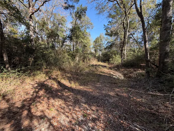 $165,000 | Lot 34 Cr 389 Jewett Tx 75846, Marquez, TX 77865