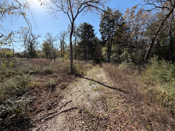 $165,000 | Lot 34 Cr 389 Jewett Tx 75846, Marquez, TX 77865