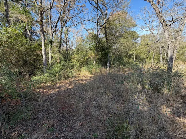 $165,000 | Lot 34 Cr 389 Jewett Tx 75846, Marquez, TX 77865