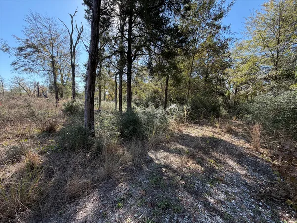 $165,000 | Lot 34 Cr 389 Jewett Tx 75846, Marquez, TX 77865