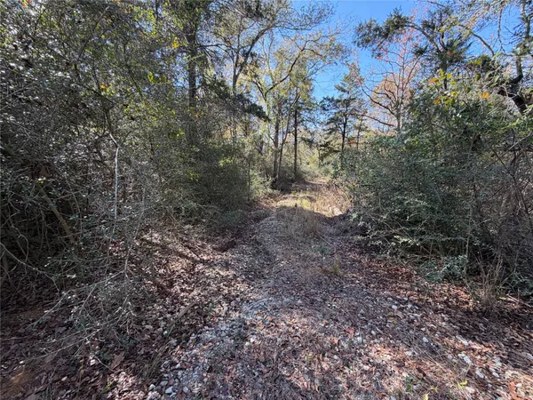 $165,000 | Lot 34 Cr 389 Jewett Tx 75846, Marquez, TX 77865