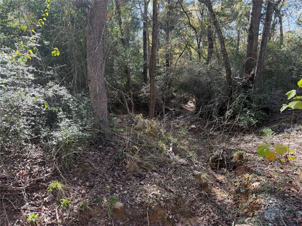 $165,000 | Lot 34 Cr 389 Jewett Tx 75846, Marquez, TX 77865