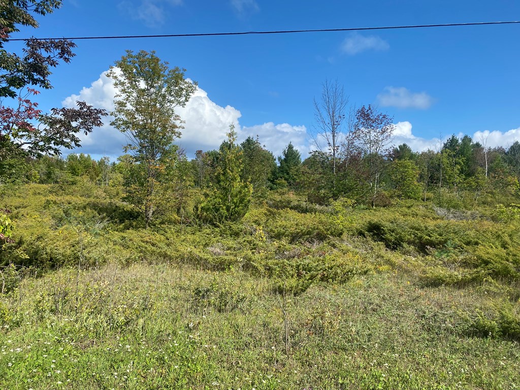 Timberline Road Ellison Bay, WI 54210 - Photo 2 of 3