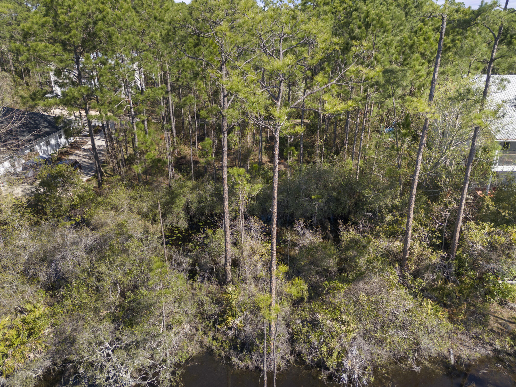 Lot 4 Calm Gulf Drive Santa Rosa Beach, FL 32459 - Photo 22 of 36 a view of a forest
