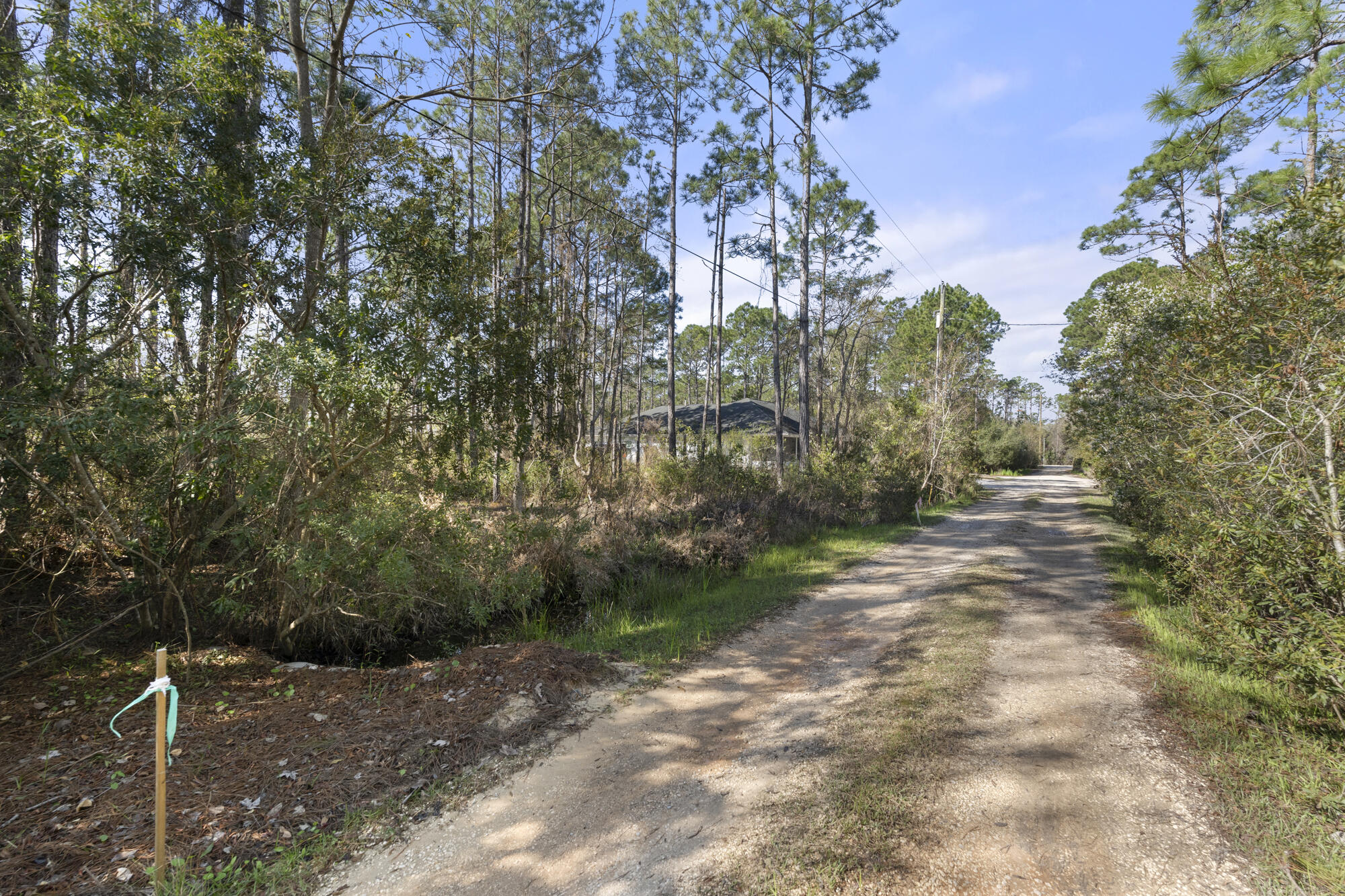 Lot 4 Calm Gulf Drive Santa Rosa Beach, FL 32459 - Photo 4 of 36 a view of a road with plants and a yard