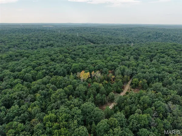 $727,900 | 250.96 Delbridge Road, Potosi, MO 63664