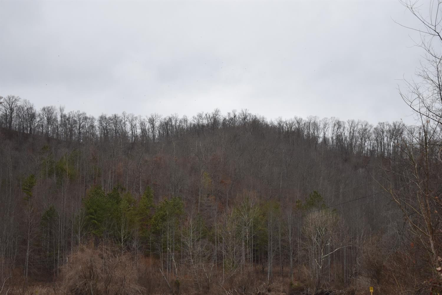 9999 East Crawfish Road Manchester, KY 40962 - Photo 30 of 52 Photo 30