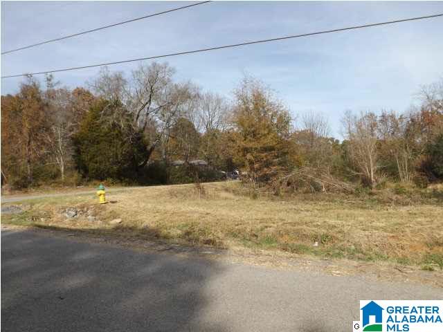 0 Highway 75, Unit 7 Oneonta, AL 35121 - Photo 6 of 9