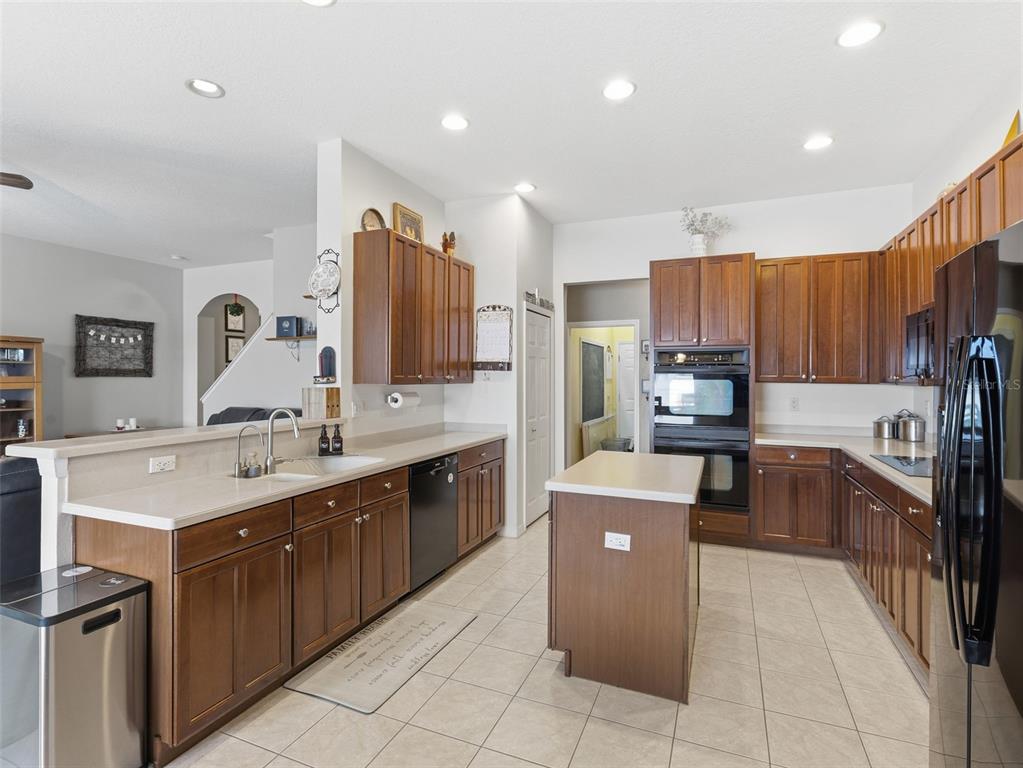 22548 Cliffside Way Land O' Lakes, FL 34639 - Photo 11 of 53