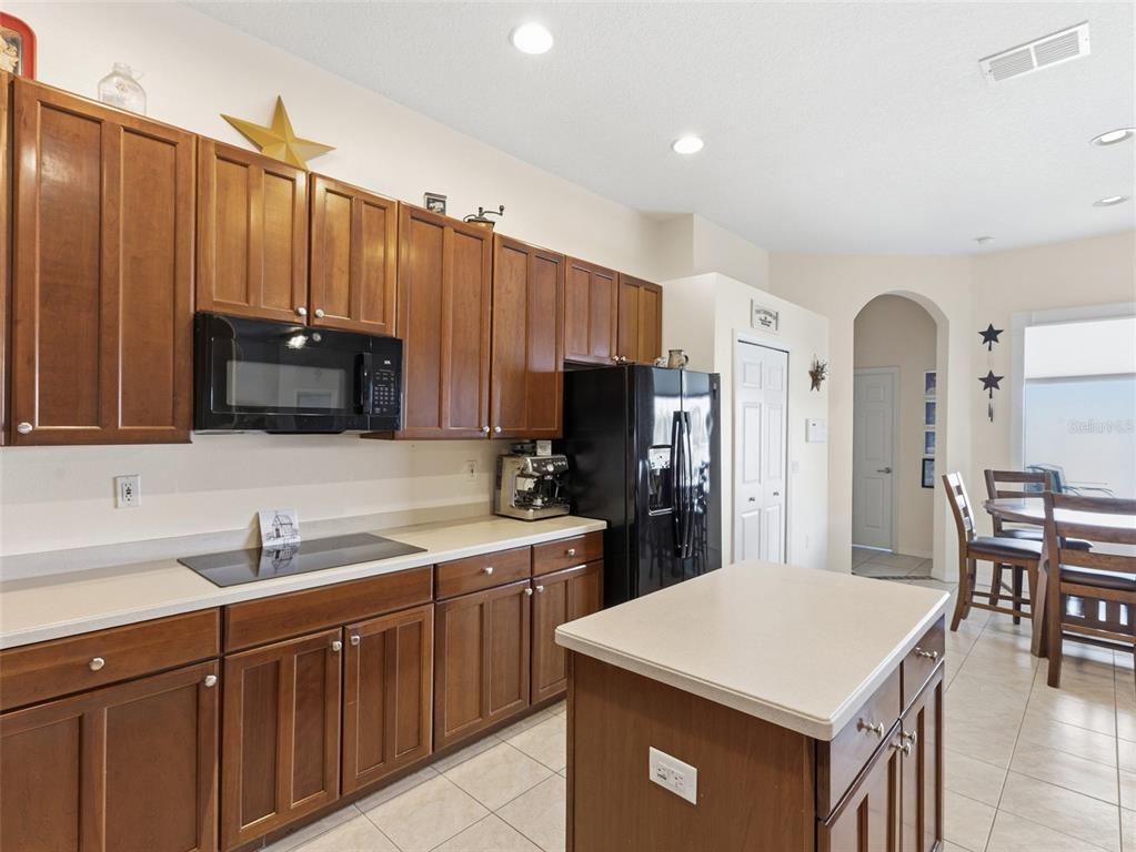 22548 Cliffside Way Land O' Lakes, FL 34639 - Photo 13 of 53