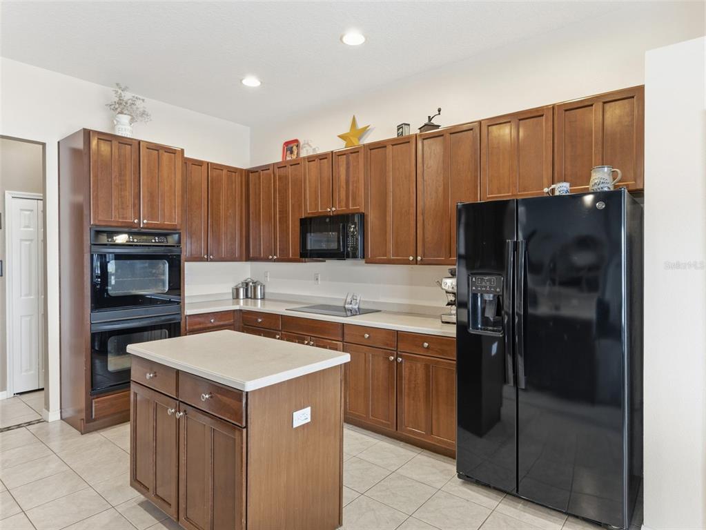 22548 Cliffside Way Land O' Lakes, FL 34639 - Photo 14 of 53