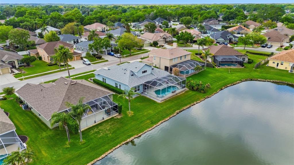 22548 Cliffside Way Land O' Lakes, FL 34639 - Photo 2 of 53