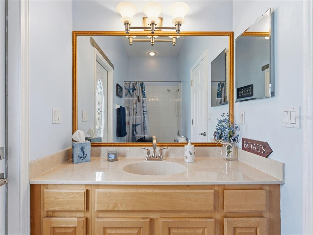 22548 Cliffside Way Land O' Lakes, FL 34639 - Photo 32 of 53