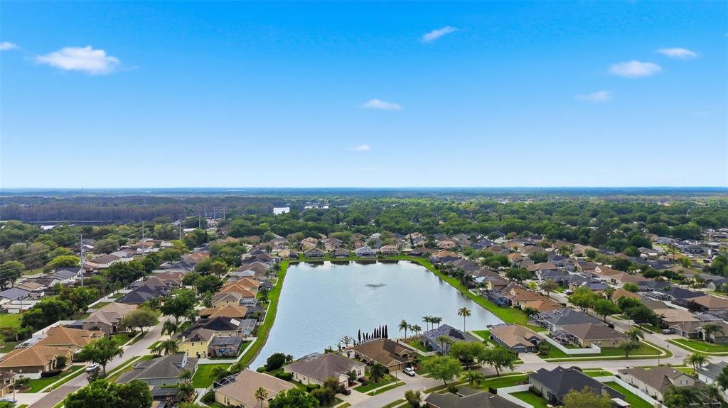 22548 Cliffside Way Land O' Lakes, FL 34639 - Photo 42 of 53
