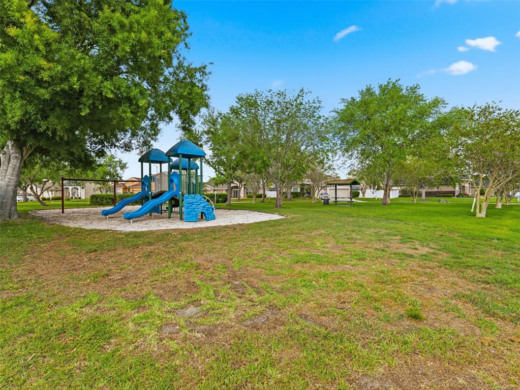 22548 Cliffside Way Land O' Lakes, FL 34639 - Photo 44 of 53