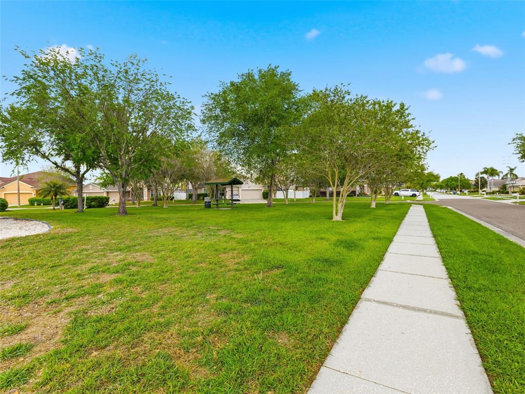 22548 Cliffside Way Land O' Lakes, FL 34639 - Photo 45 of 53