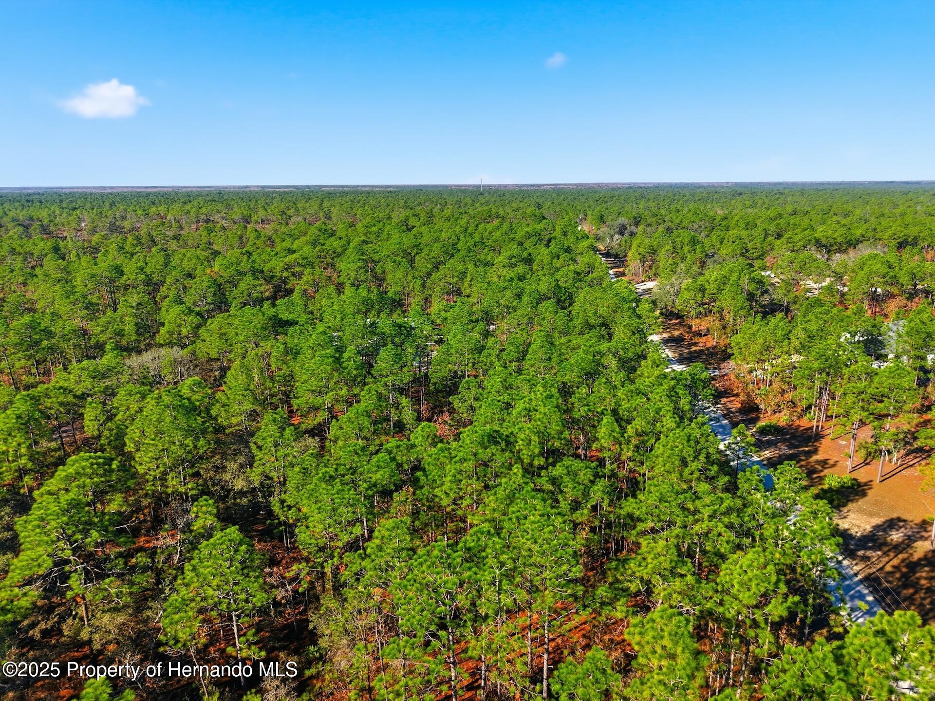0 Raschke Run Weeki Wachee, FL 34614 - Photo 1 of 9 Gallery Image 1