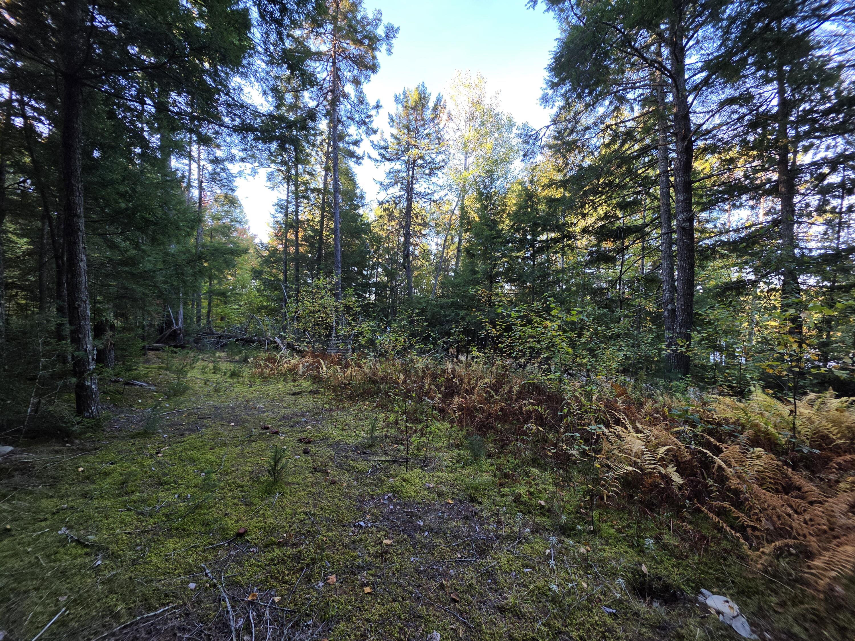 Lot 3 East Shore Road Lakeville, ME 04487 - Photo 58 of 59 20261007_074837