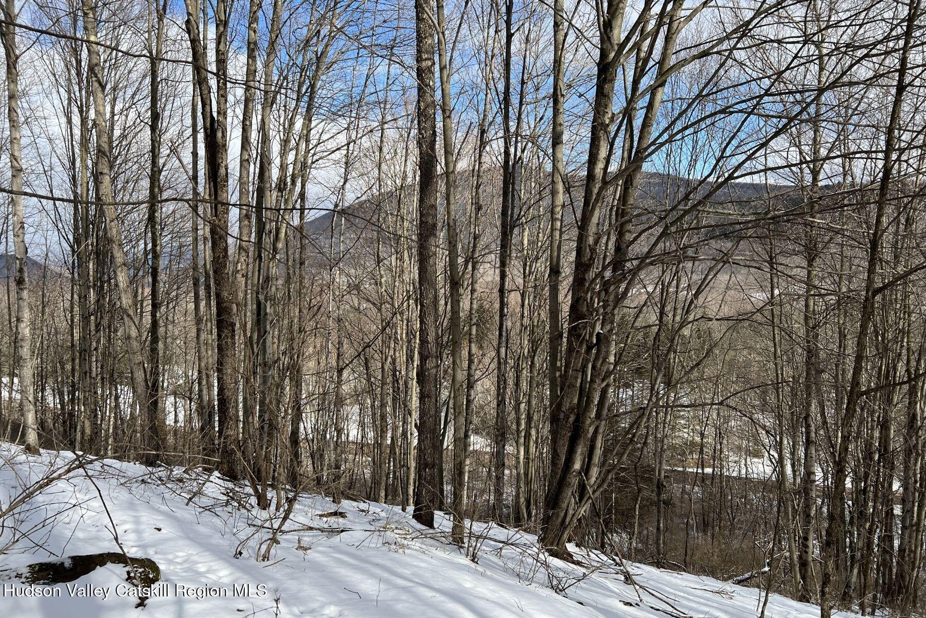 8-11 Henry Williams Road Roxbury, NY 12474 - Photo 18 of 23 18