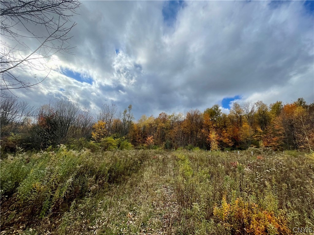 15 Lee Road Camden, NY 13316 - Photo 6 of 12 Gallery Image 6