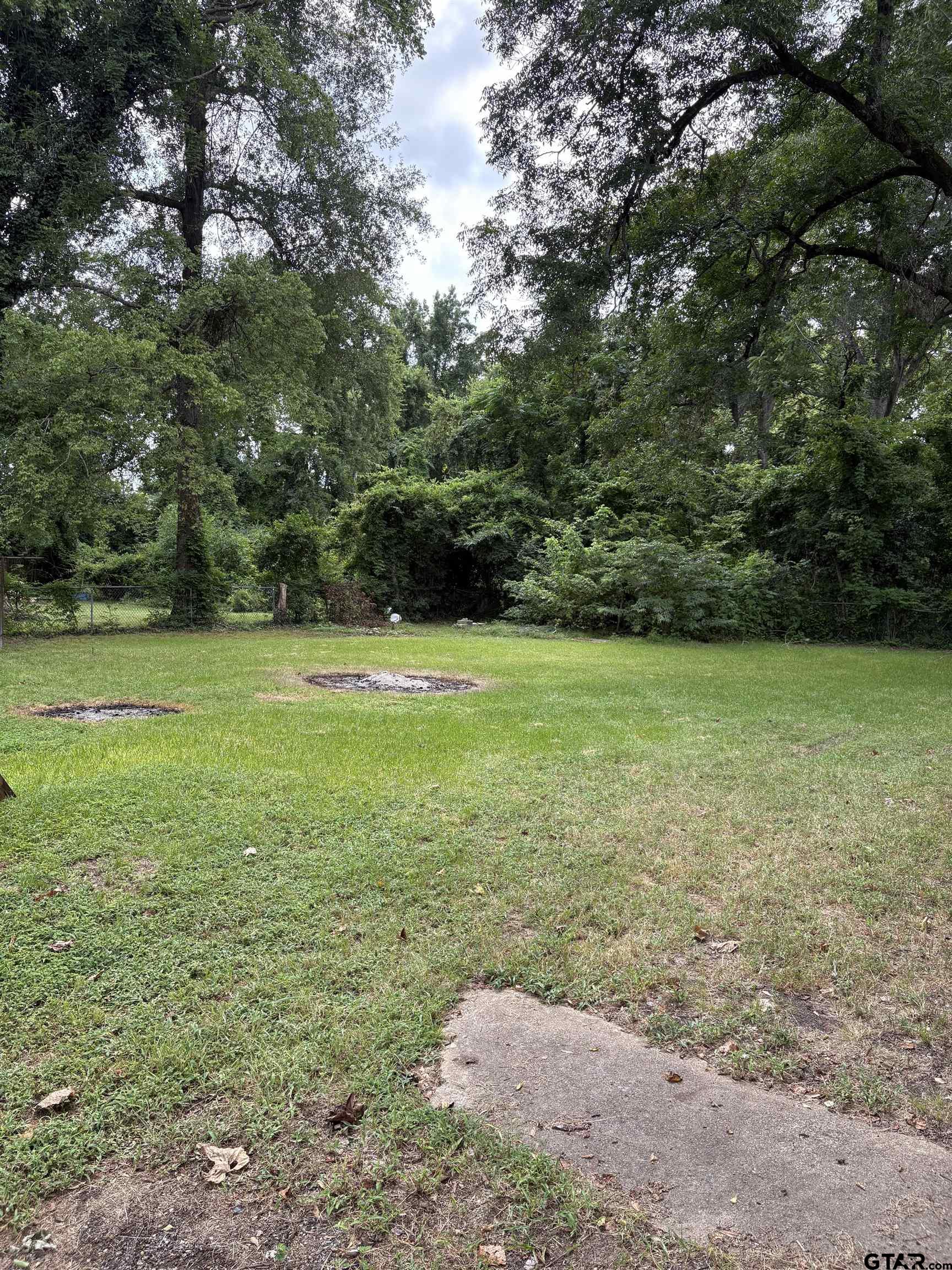 219 North Main Street Rusk, TX 75785 - Photo 11 of 11 a view of a field with a trees