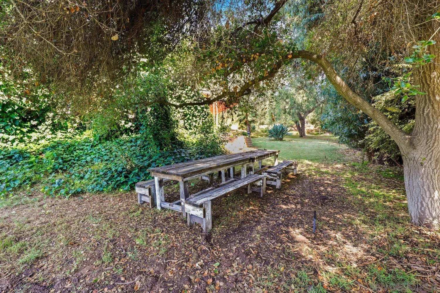 1921 Winterwarm Drive Fallbrook, CA 92028 - Photo 14 of 32 a view of a yard with a house and a forest