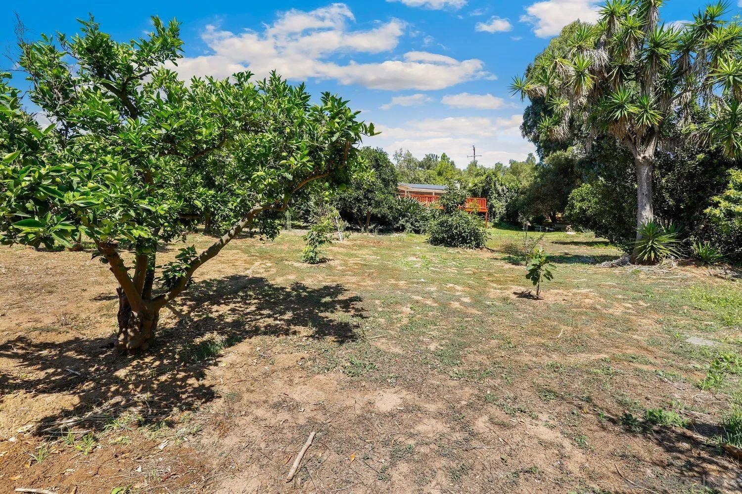 1921 Winterwarm Drive Fallbrook, CA 92028 - Photo 29 of 32 a view of outdoor space with trees
